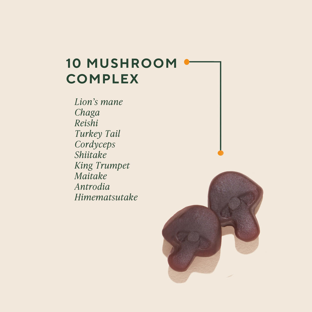 Gummies in mixed-berry hue indicate enjoyable flavor with 10-mushroom complex