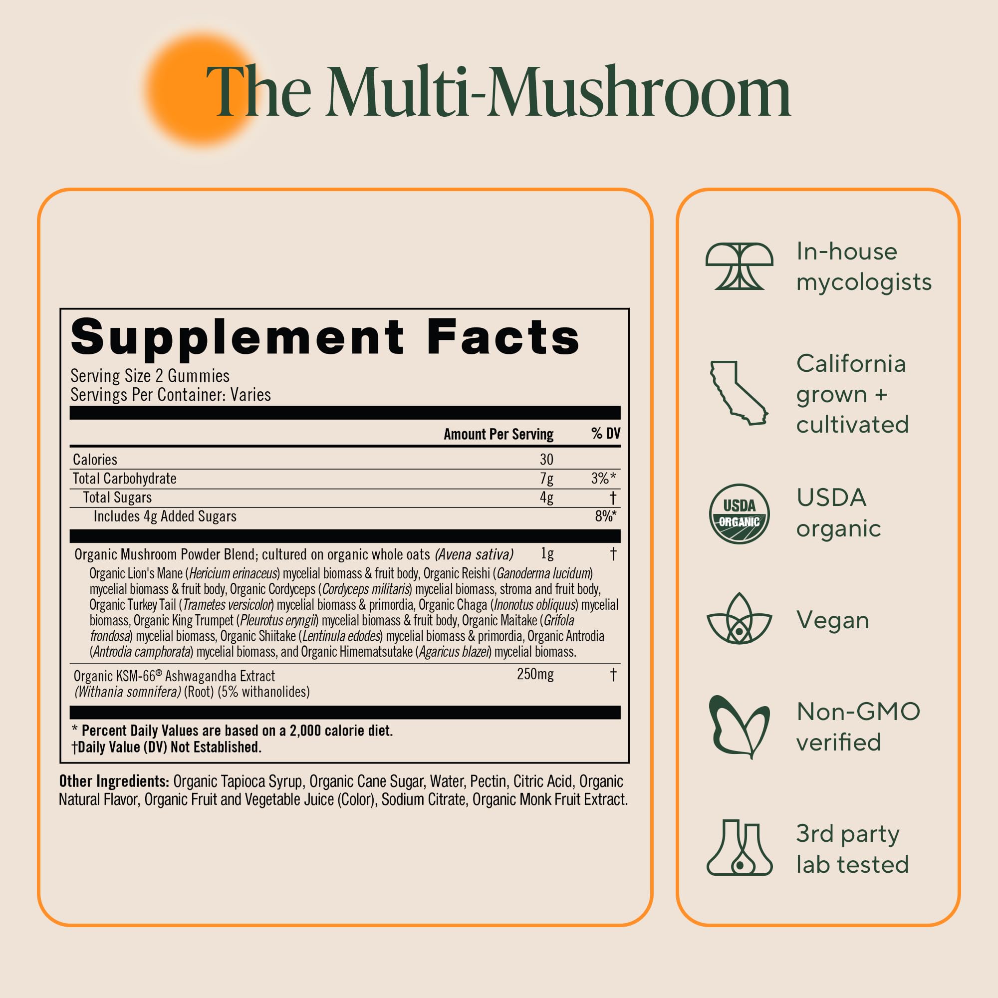 Two gummies shown as a serving to illustrate daily dosage
