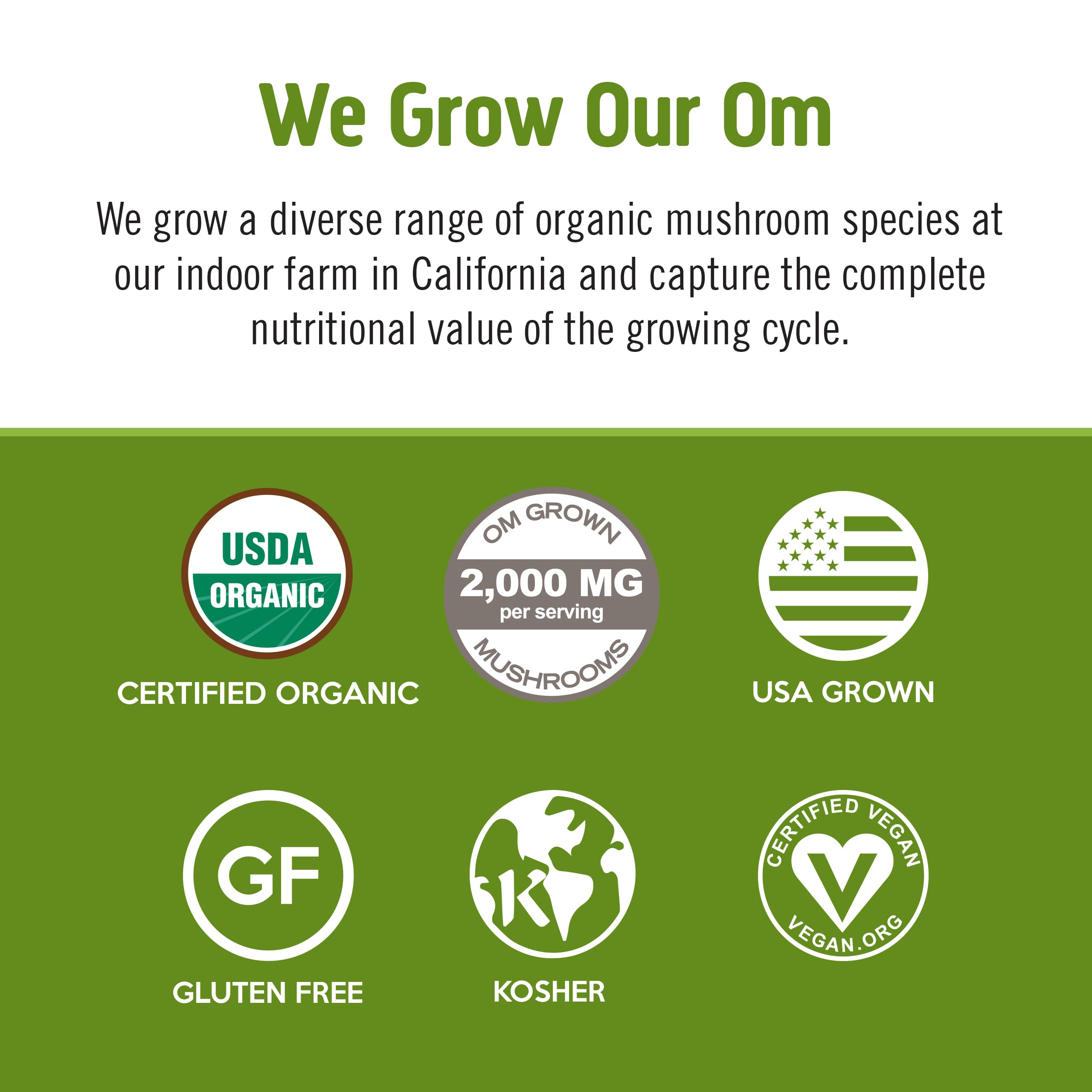 OM MUSHROOM SUPERFOOD Matcha Latte ingredients close-up with Lion's Mane and Reishi.