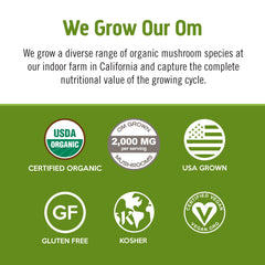 OM MUSHROOM SUPERFOOD Matcha Latte ingredients close-up with Lion's Mane and Reishi.