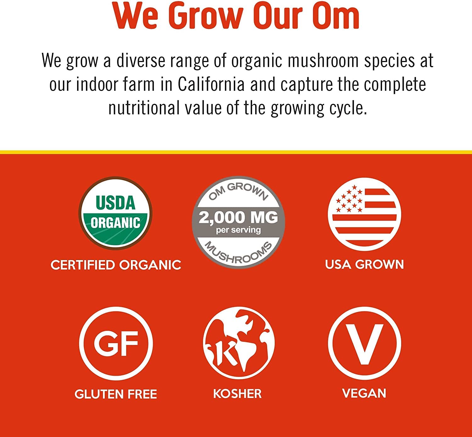 OM Mushroom Superfood Morning Energy Blend ingredients closeup suggests organic third-party tested quality