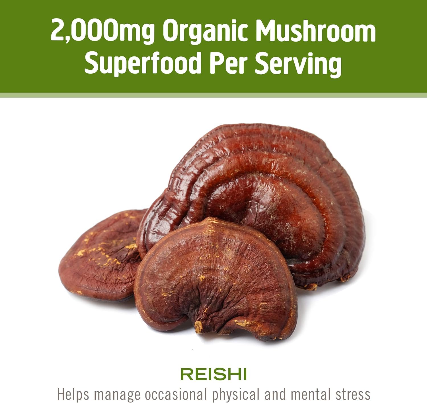 OM MUSHROOM SUPERFOOD 50-serving pouch on kitchen scale