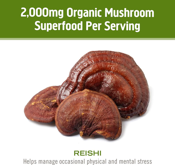 OM MUSHROOM SUPERFOOD 50-serving pouch on kitchen scale