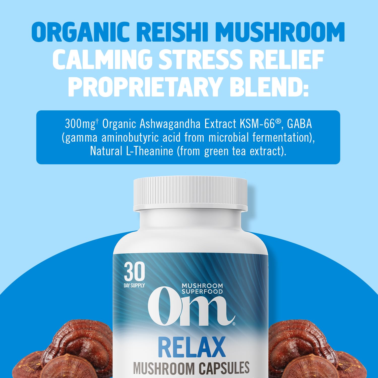 Key ingredients visual featuring reishi, ashwagandha, GABA, and magnesium