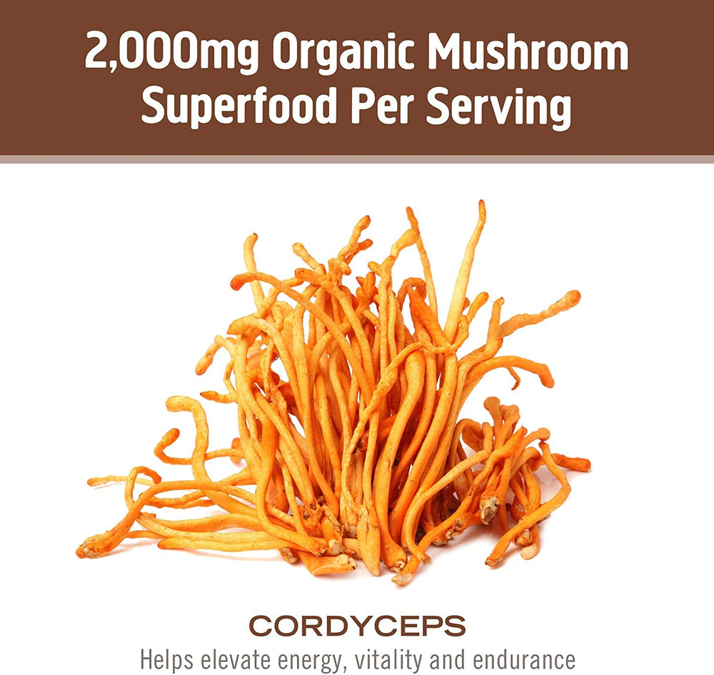 OM MUSHROOM SUPERFOOD travel-friendly packaging for on-the-go wellness