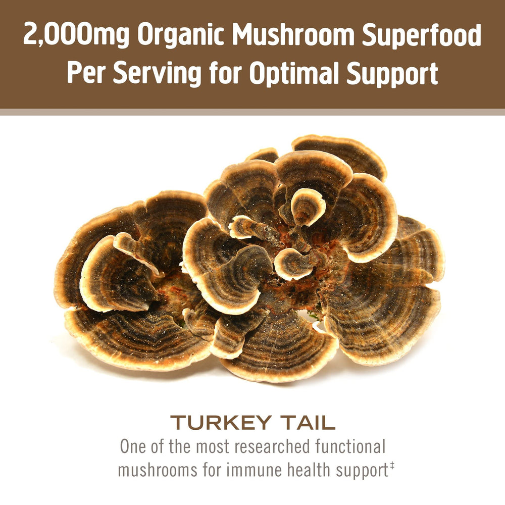 Om Mushroom Superfood turkey tail powder pouch label shows organic, no filler formula.