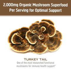 Om Mushroom Superfood turkey tail powder pouch label shows organic, no filler formula.