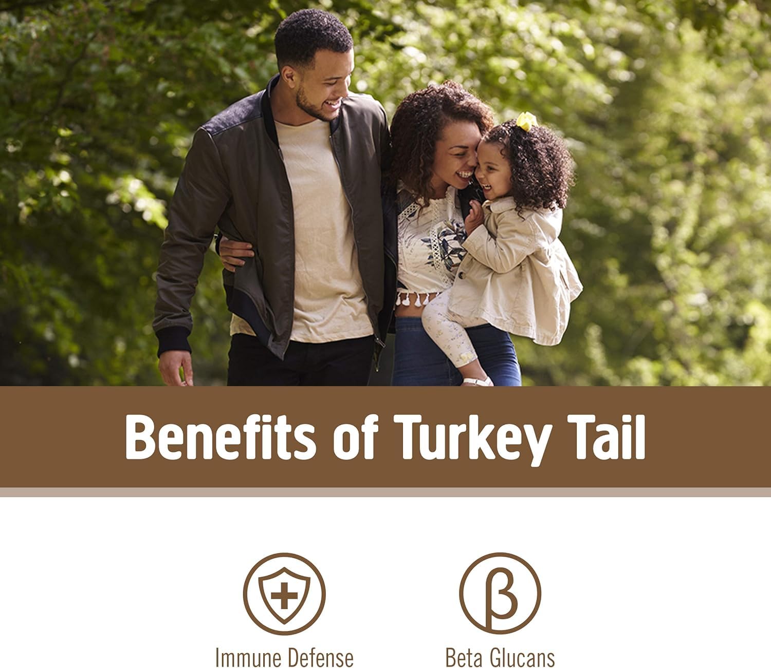 Scoop of Turkey Tail powder added to a smoothie for balanced vitality.