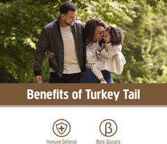 Scoop of Turkey Tail powder added to a smoothie for balanced vitality.
