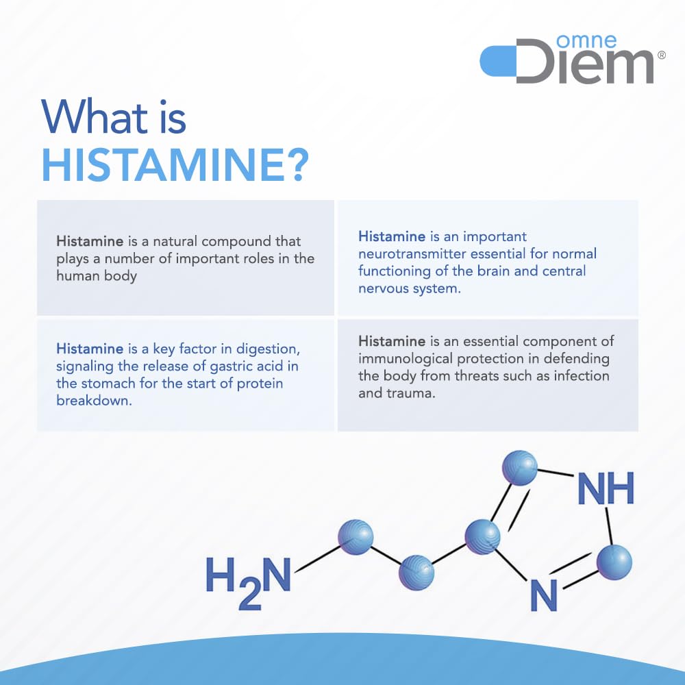Omne Diem Histamine Digest DAO enzyme concept image emphasizing gut-focused action.