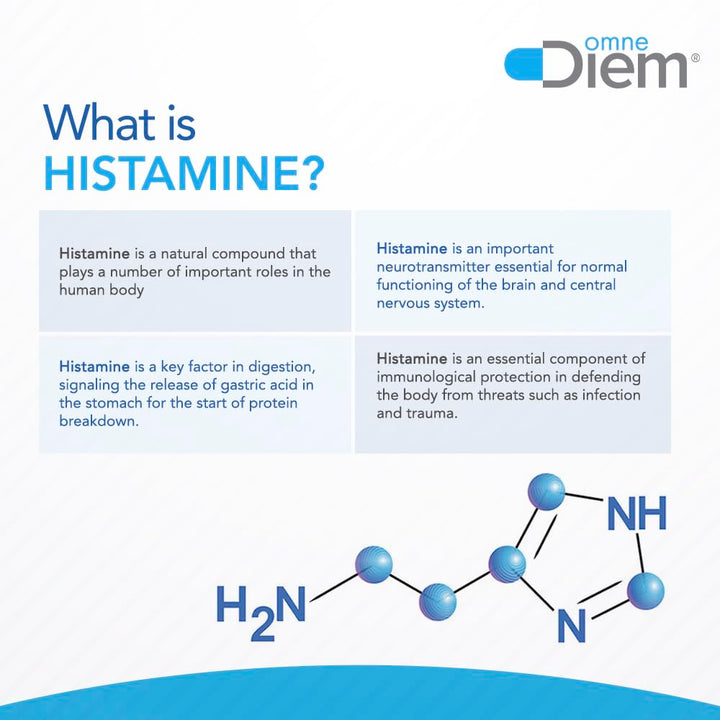 Omne Diem Histamine Digest DAO enzyme concept image emphasizing gut-focused action.