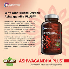 OmniBiotics Ashwagandha packaging box displaying organic ingredients and USA-made quality