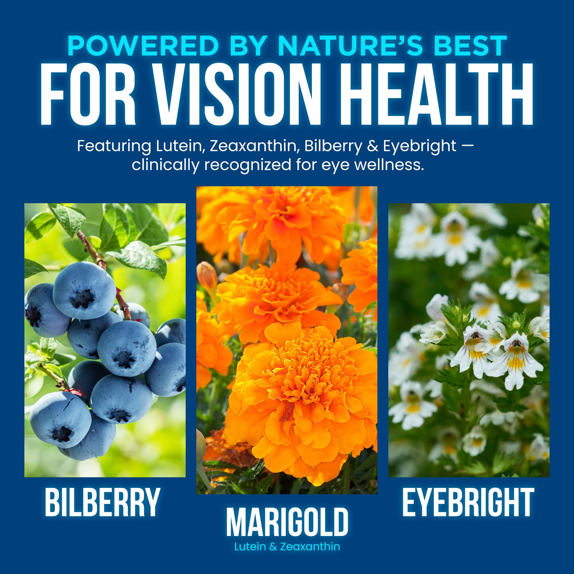 OmniBiotics Vision Clarity packaging box showing eco-friendly transparent labeling for easy decisions.