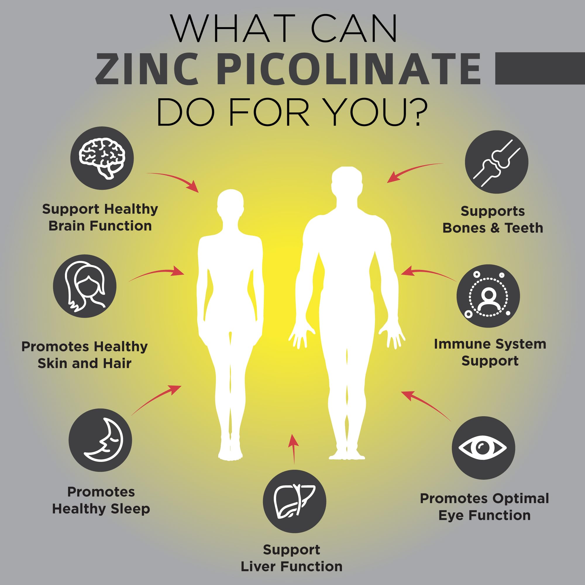 OmniBiotics zinc picolinate capsule on white background for vegan supplement.