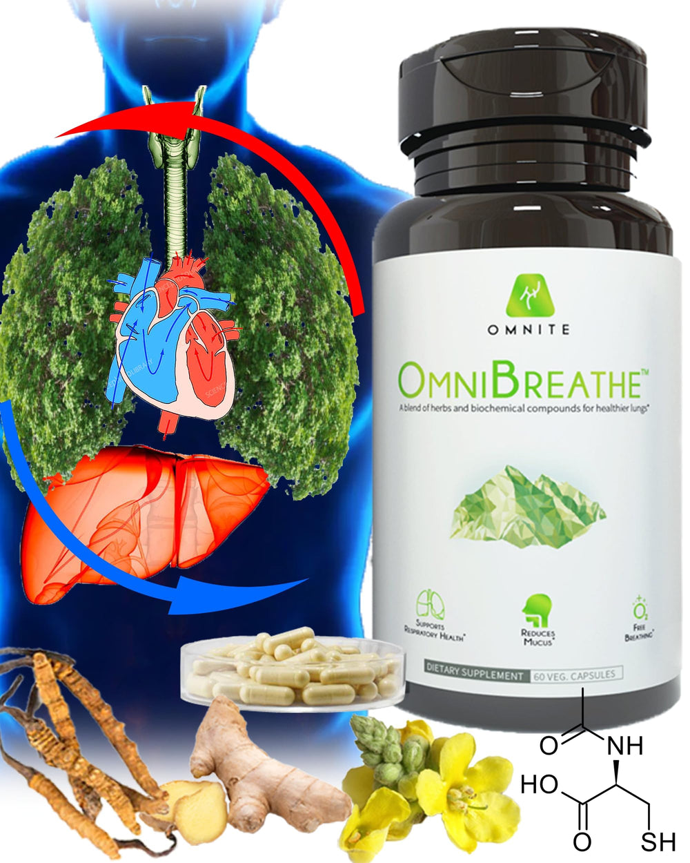 Omnite Omnibreathe mullein leaf capsules shown for natural airway support.