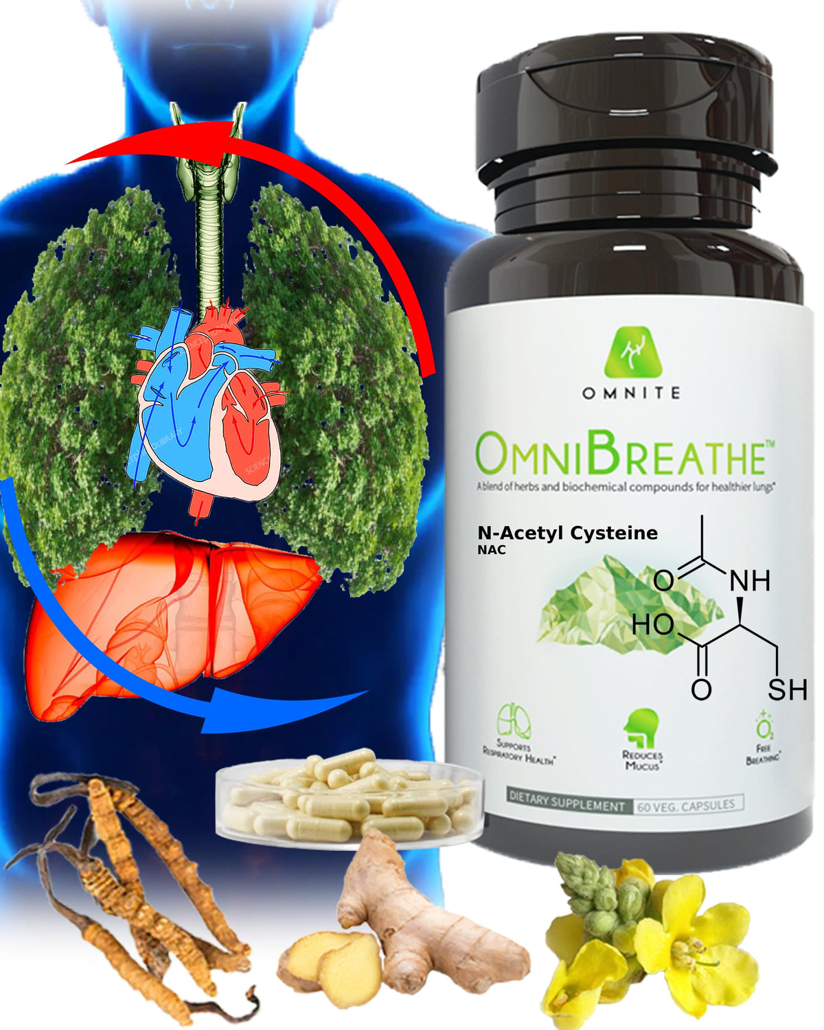 Omnite asthma relief bottle for daily respiratory support.