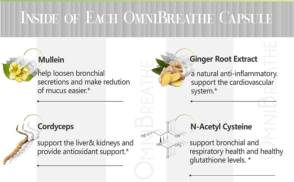 Mullein leaf extract in Omnite formula for lung comfort.