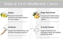 Mullein leaf extract in Omnite formula for lung comfort.