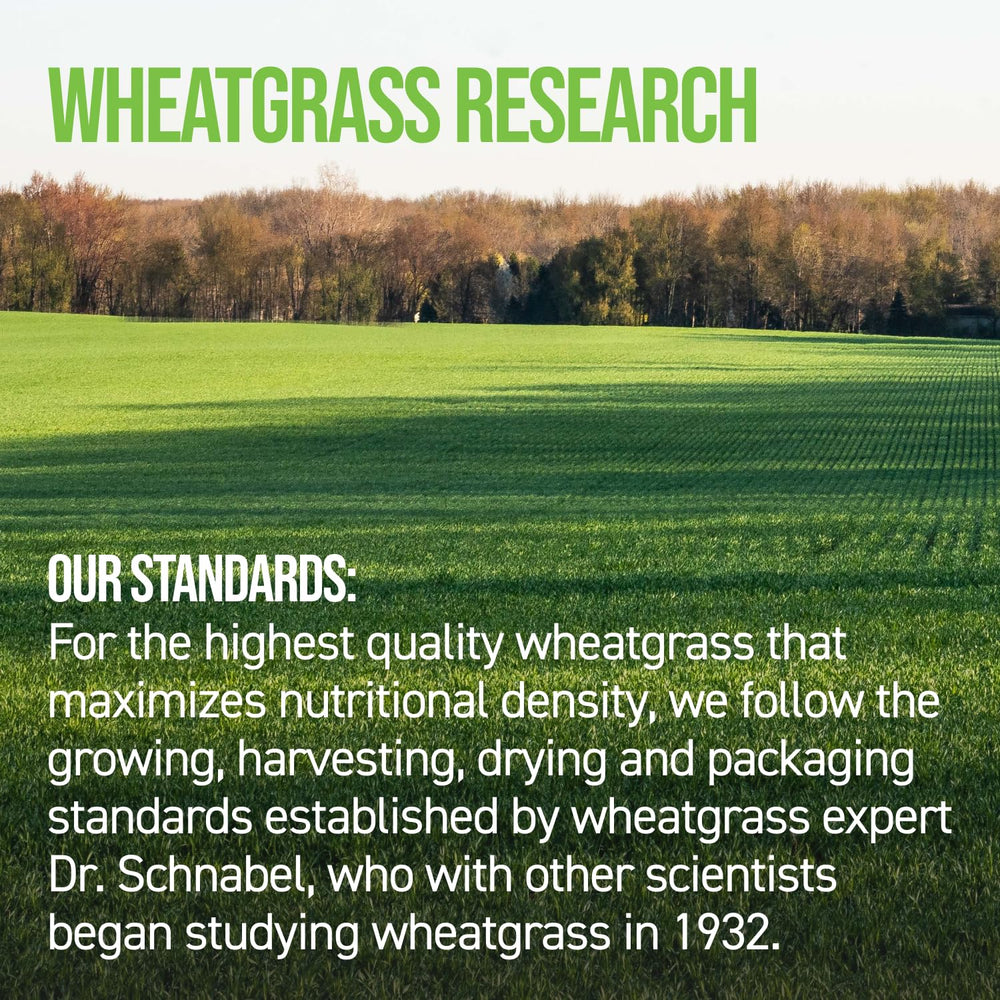 On Target Living Wheatgrass Tablets on morning table for daily greens routine