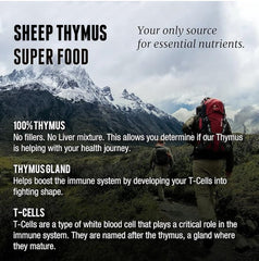 One Earth Health New Zealand grass-fed thymus product from pasture-raised cattle.