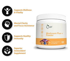 Close-up of One Good Earth Mushroom Plus bottle highlighting Chaga benefits