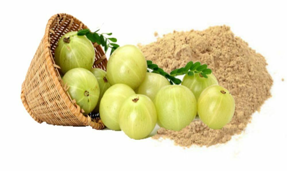 OnMexa Amla Powder seed-free close-up highlights fine texture for drinks or skincare