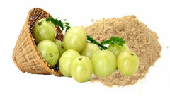 OnMexa Amla Powder seed-free close-up highlights fine texture for drinks or skincare
