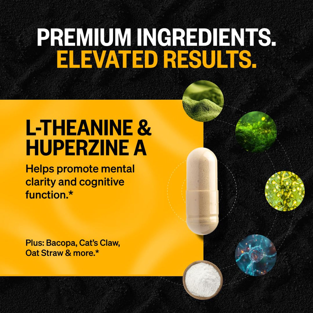 ONNIT Alpha Brain capsules poured into hand for easy daytime use.