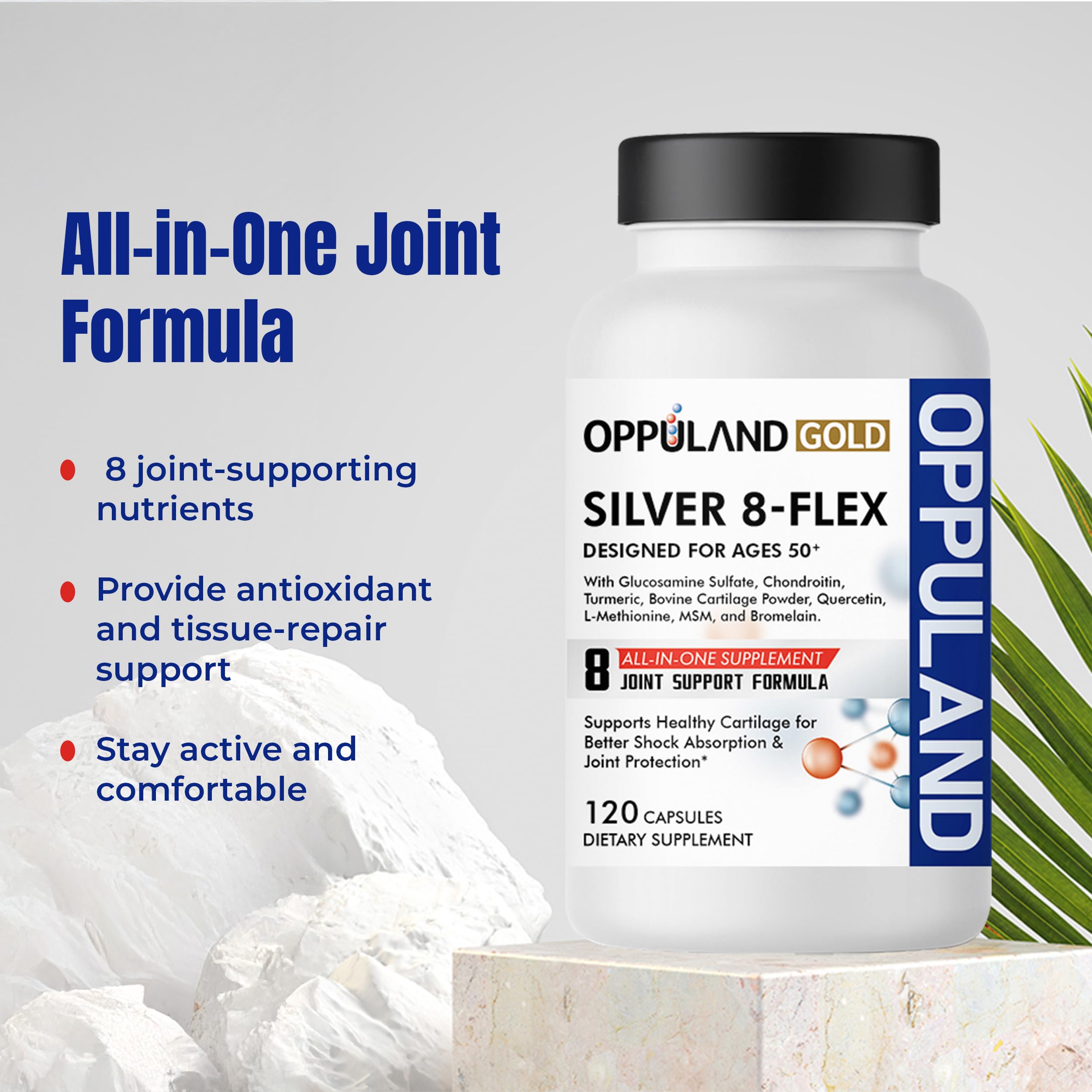Oppuland Silver 8 Flex capsules close-up for daily joint care