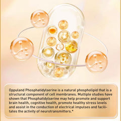 Oppuland veggie capsules packaging showcases vegan-friendly supplement.