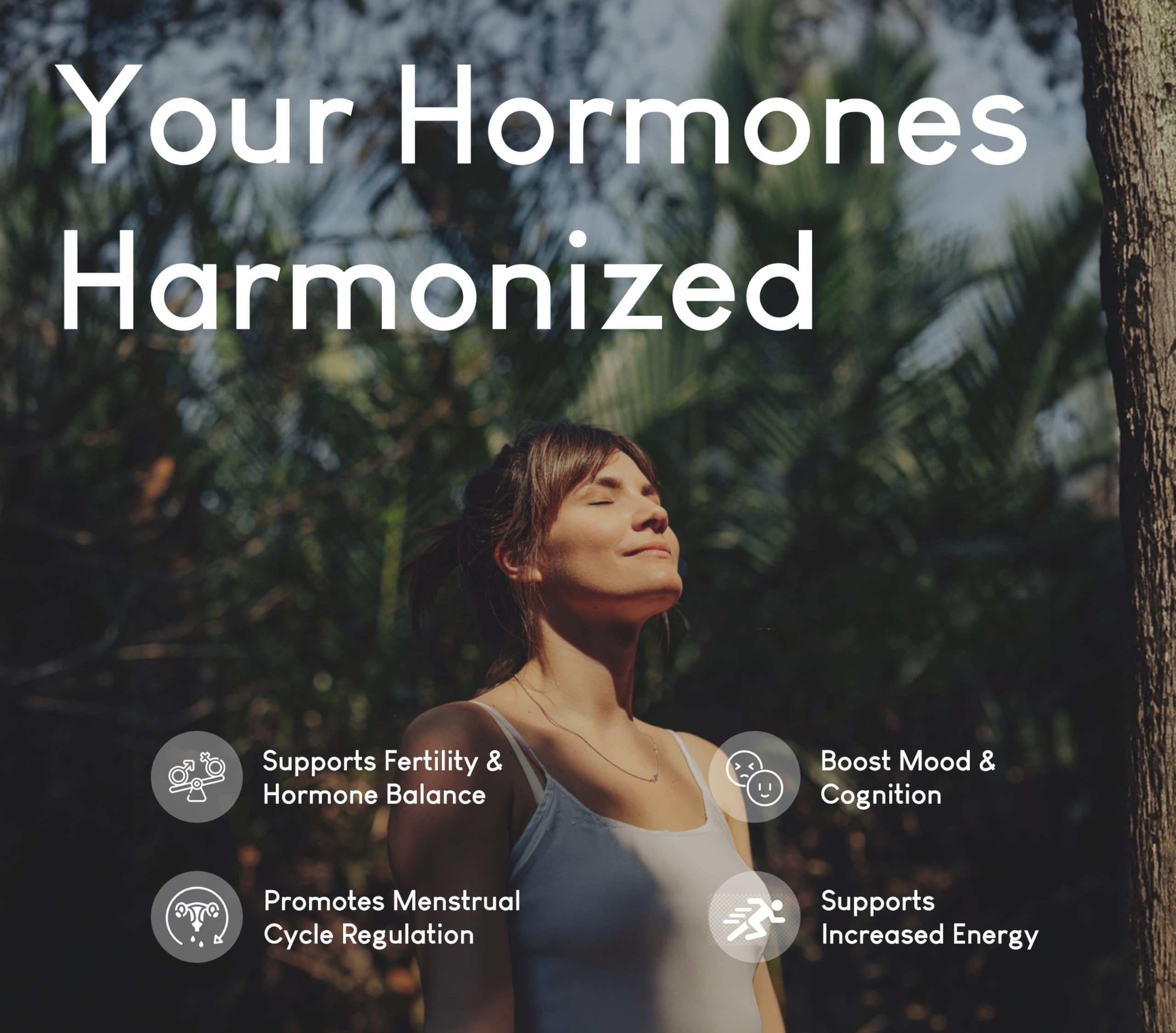 Optimal Carnivore beef-organ supplement capsules in hand for easy daily use.