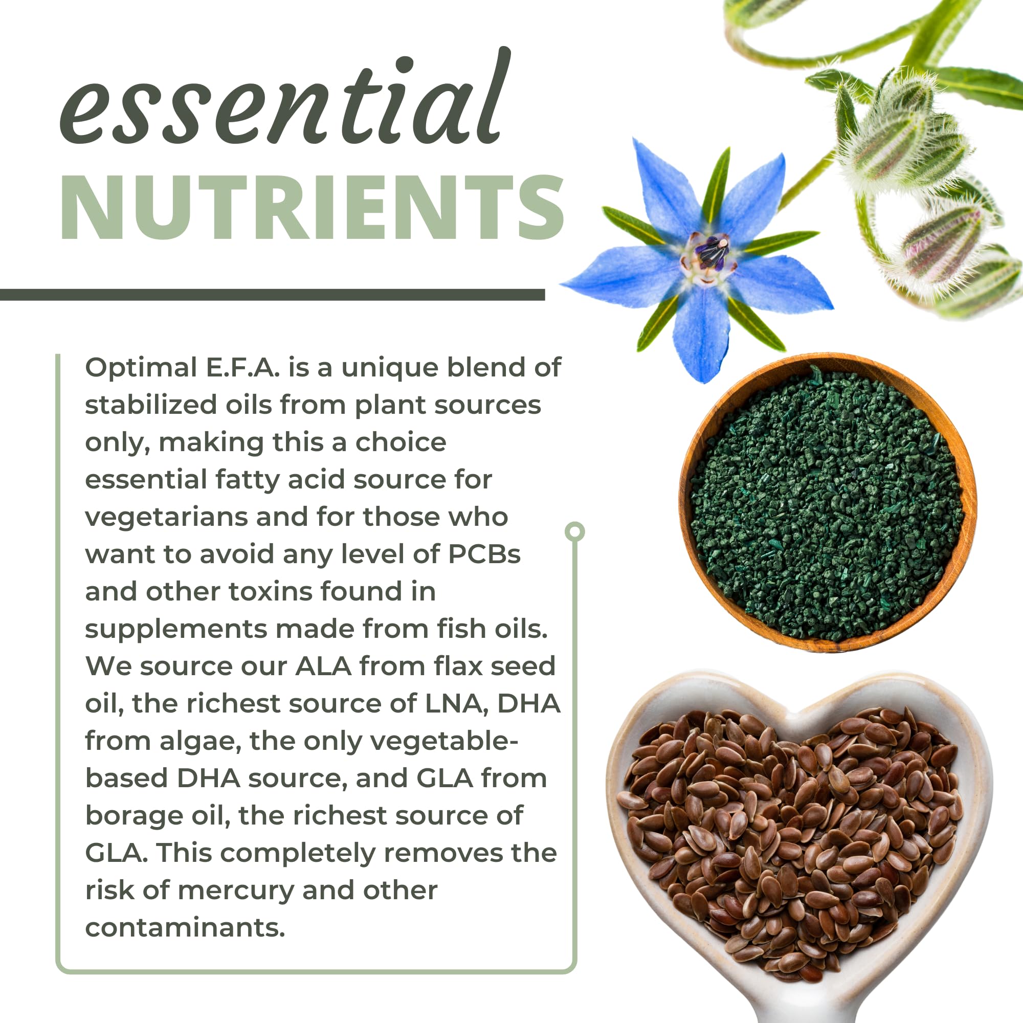 Optimal Health Systems EFA borage oil bottle rich in GLA for daily wellness