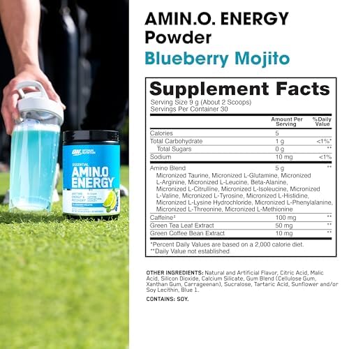 Chilled glass of Blueberry Mojito drink illustrating refreshing workout fuel