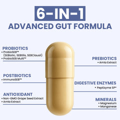 OPTIVIDA digestive enzymes and prebiotics capsule shows fast-acting gut comfort.