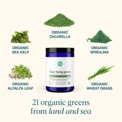 Ora Organic Greens Powder scoop beside a glass smoothie for quick energy.