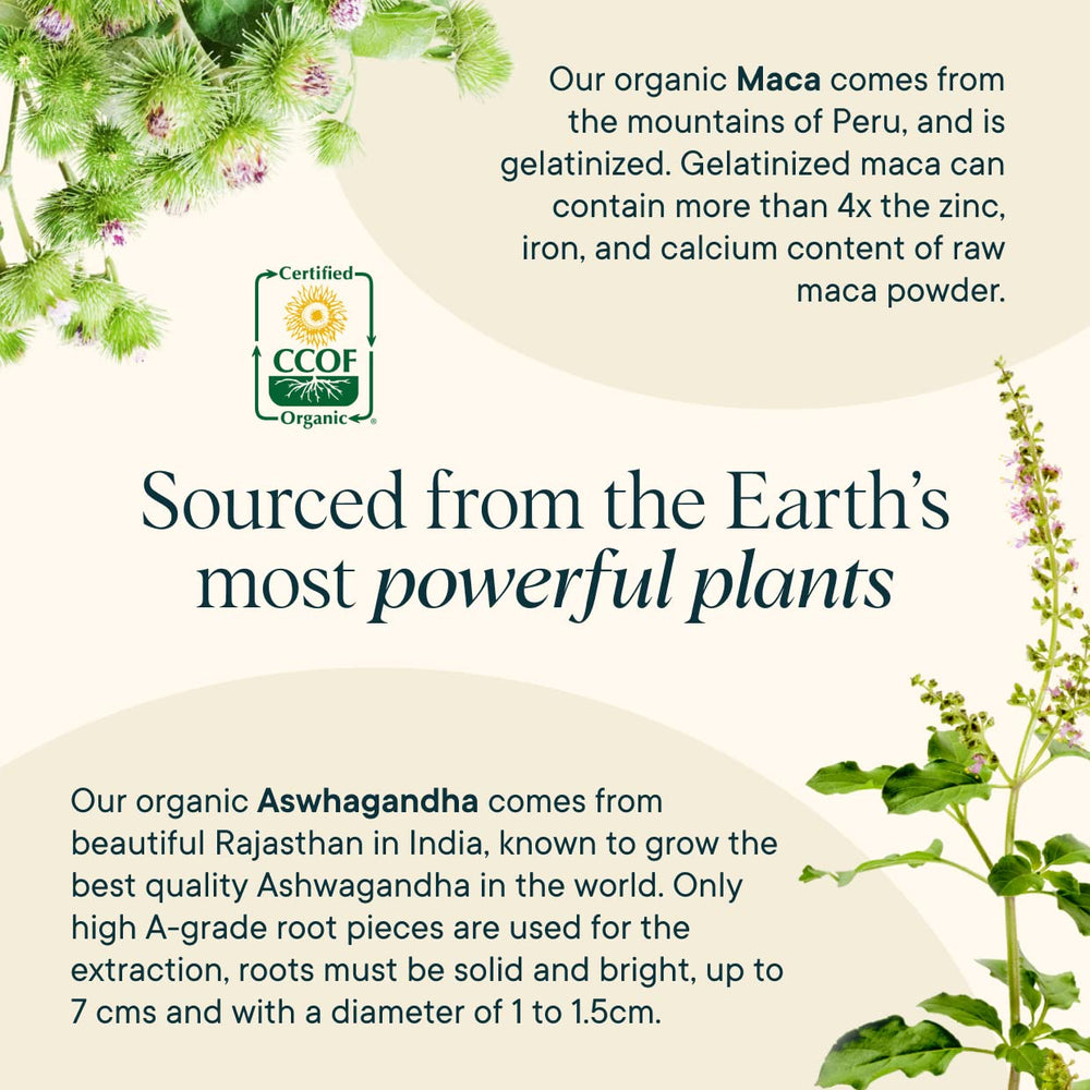 Ora Organic Hormone Balance ashwagandha roots signaling stress support potential.