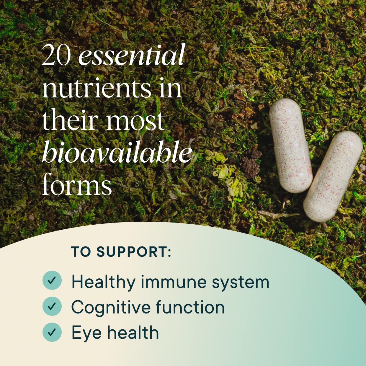 Ora Organic Modern Multi capsules lined up for daily use.