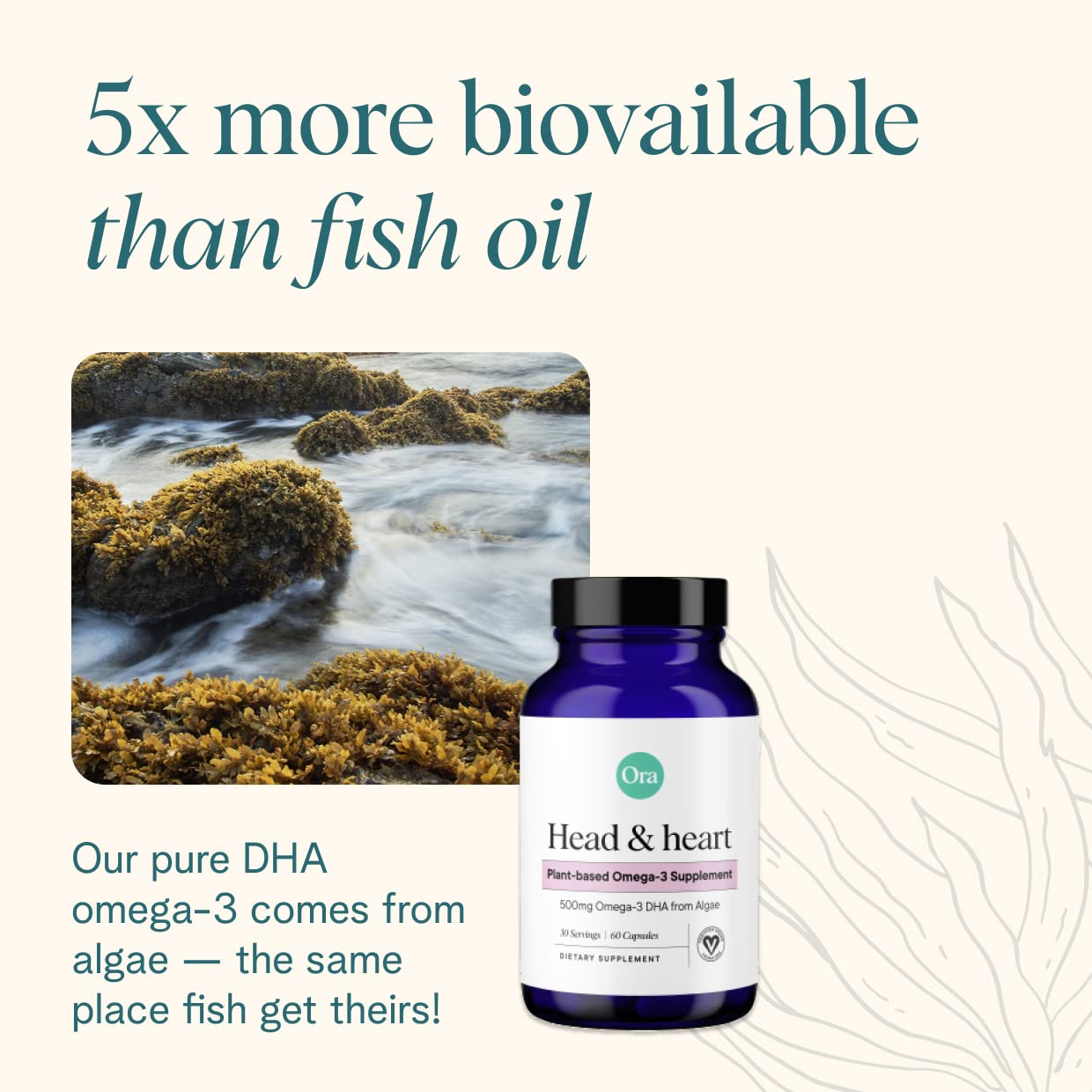 Ora Organic vegan omega3 bottle closeup: algae-derived dha for brain and heart.