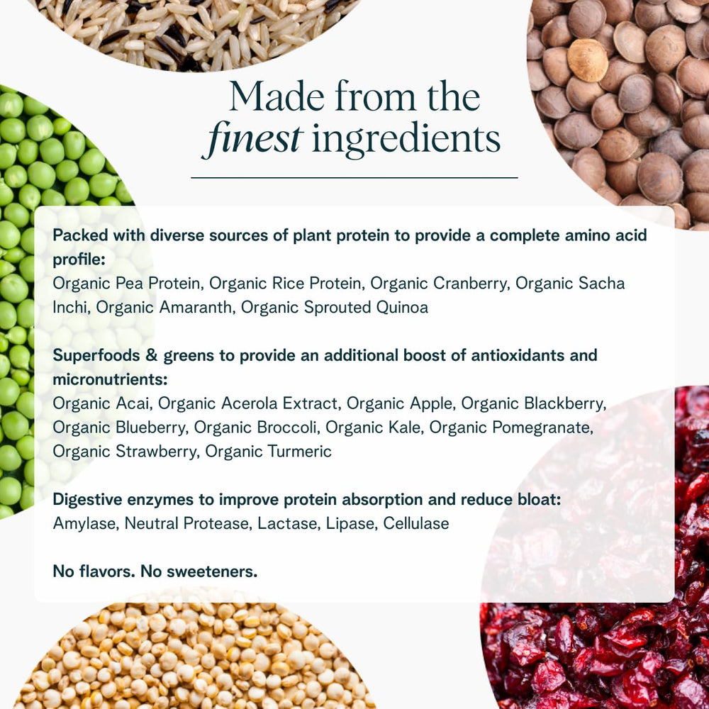 Ora Organic vegan protein powder with 16 superfoods and micronutrients