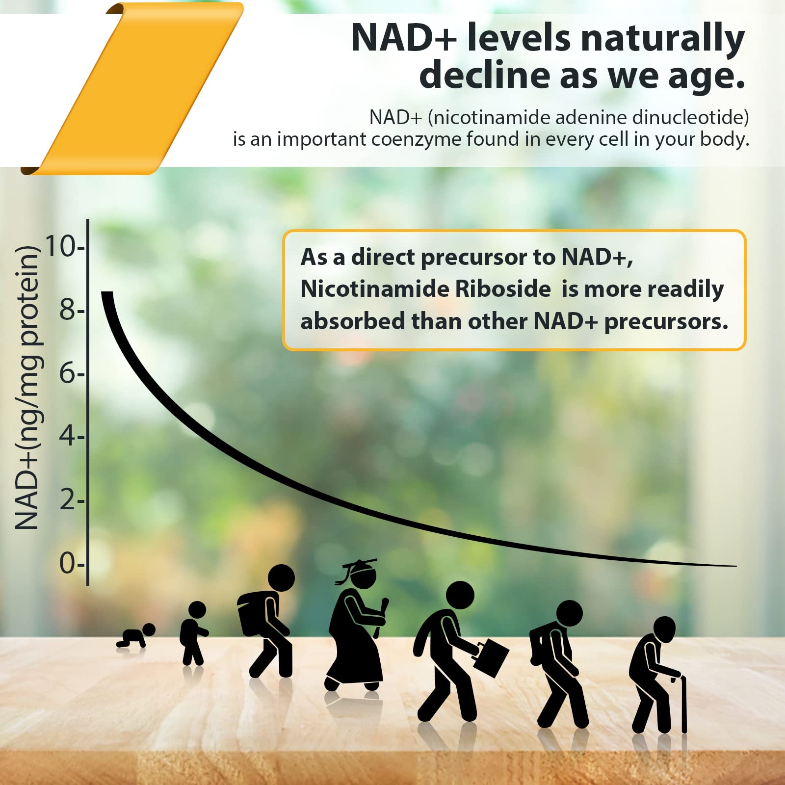 Orgabay pterostilbene with TMG on label signaling premium NAD+ optimization options.