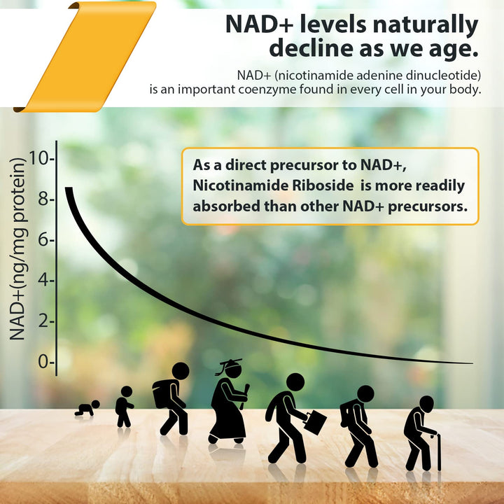 Orgabay pterostilbene with TMG on label signaling premium NAD+ optimization options.