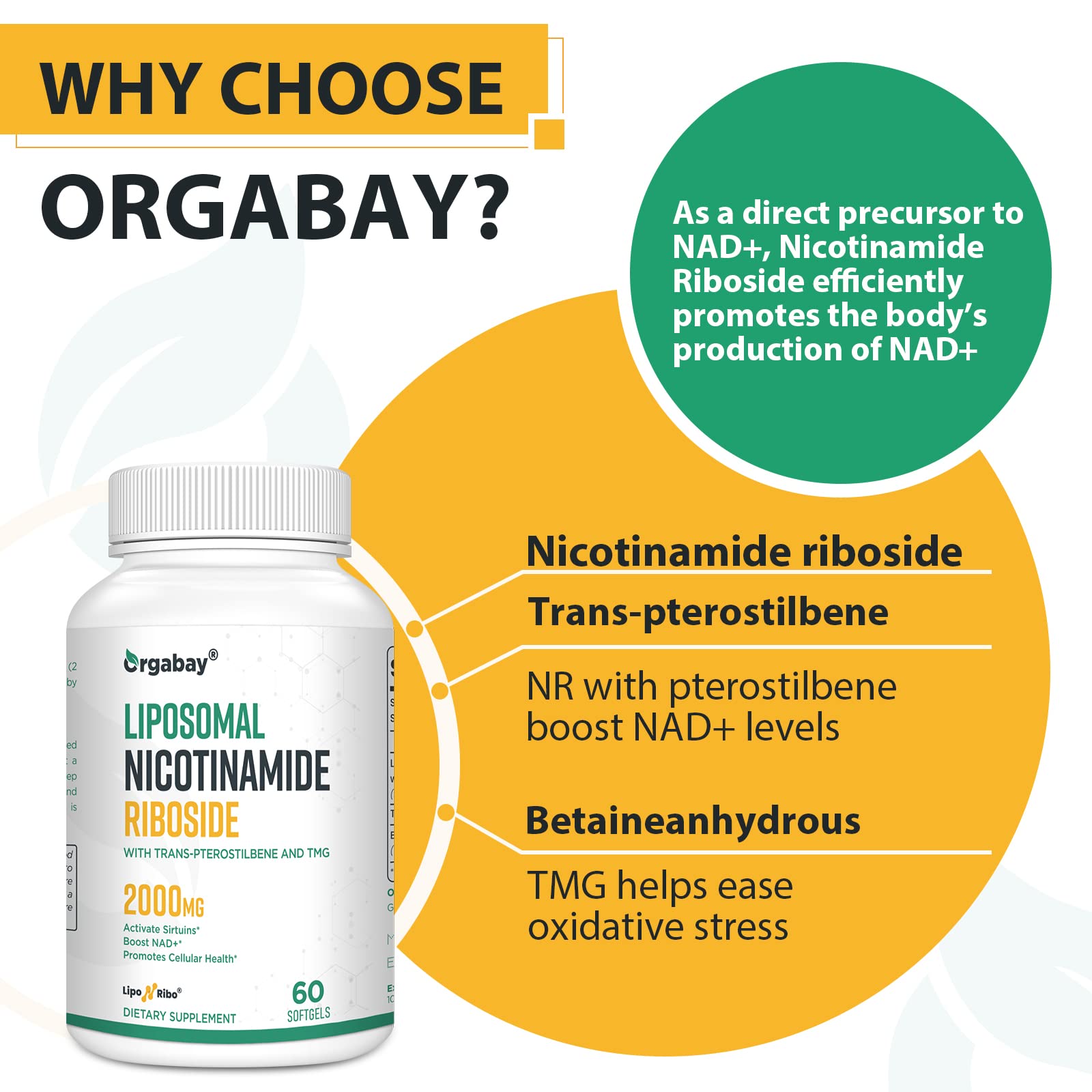 Orgabay pterostilbene and TMG ingredients visual for metabolism support