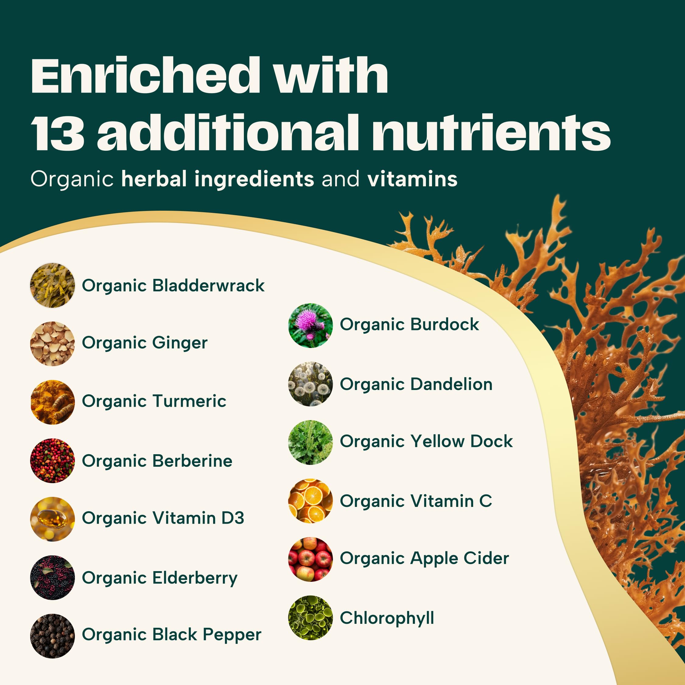 Organibly ashwagandha-turmeric capsules emphasize stress relief and daily vitality options.