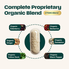 Organibly black seed oil capsules in bottle highlight immune-supporting ingredients.