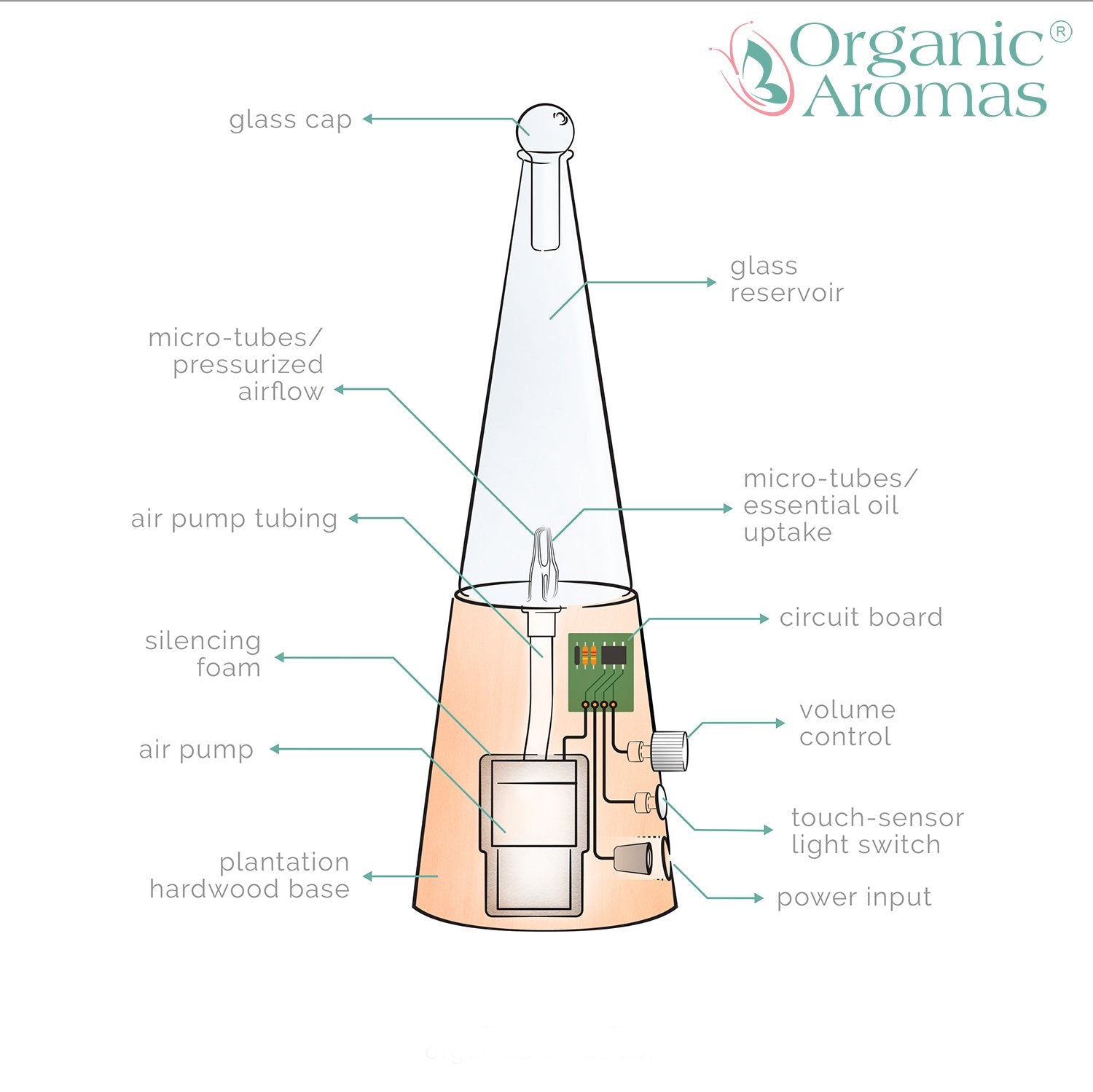 Organic Aromas diffuser LED mood light adds calming atmosphere during sessions.