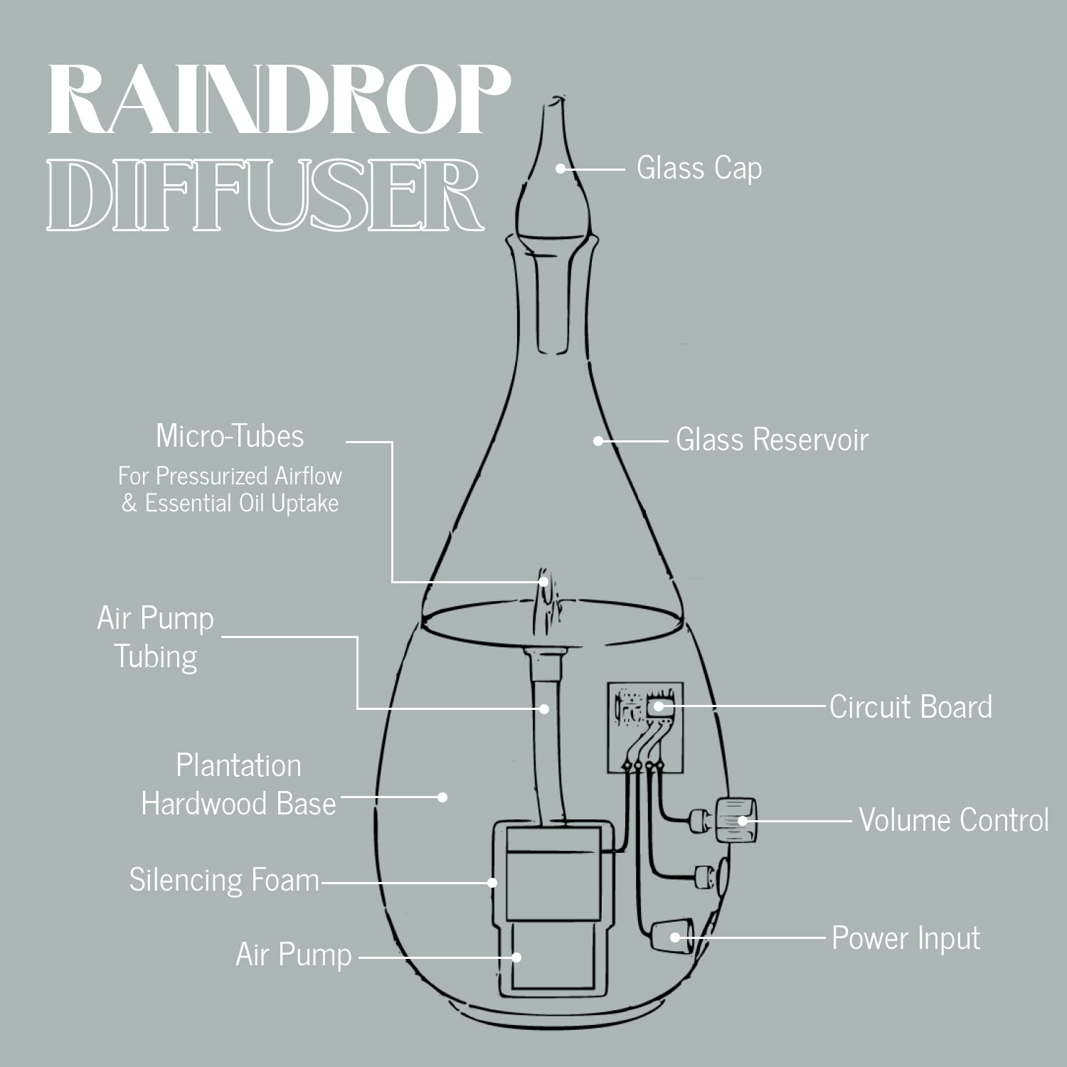 Organic Aromas Raindrop 2.0 cleaning action demonstrates easy weekly maintenance.