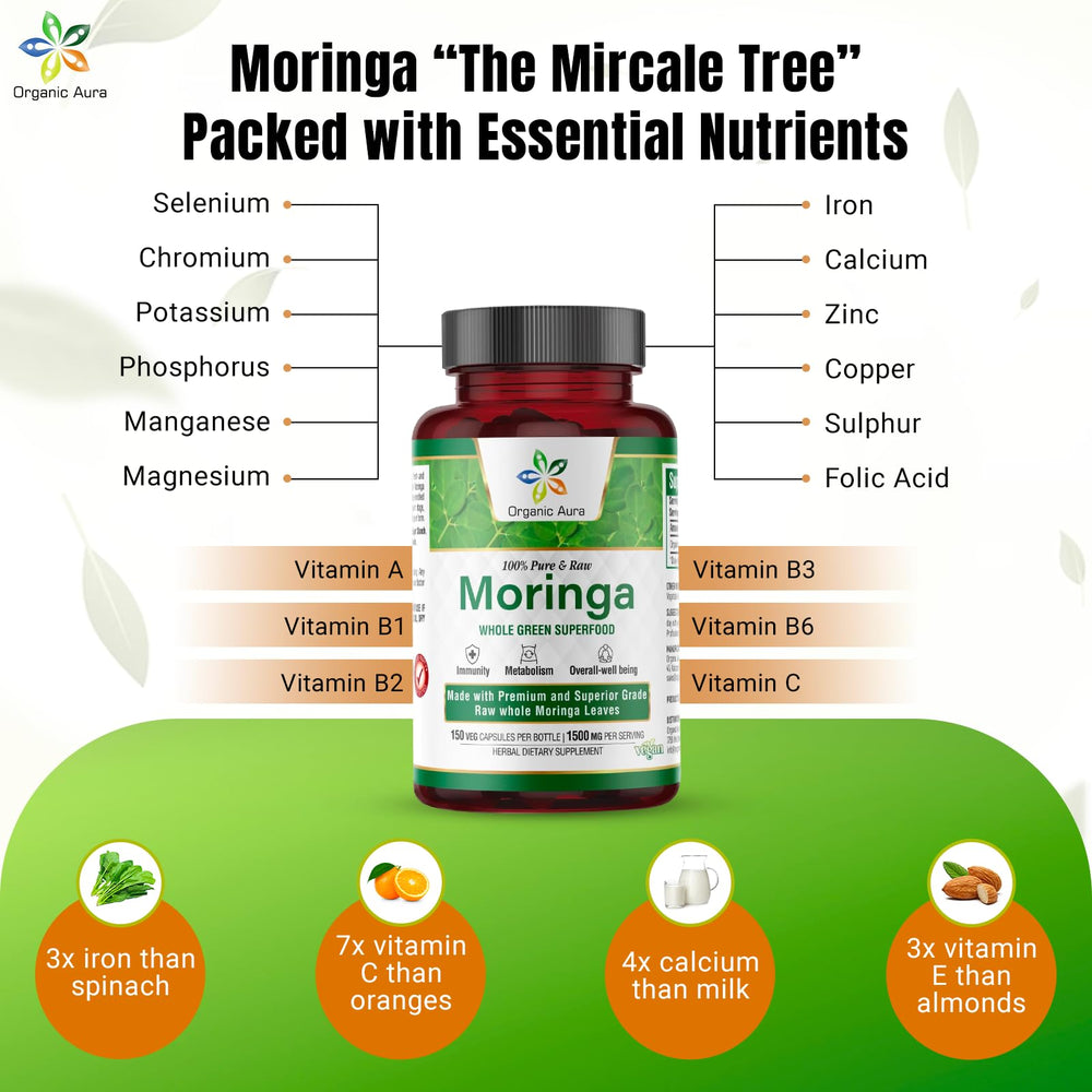 Organic Aura Moringa leaves harvest emphasizes natural farming and purity.