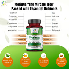 Organic Aura Moringa leaves harvest emphasizes natural farming and purity.