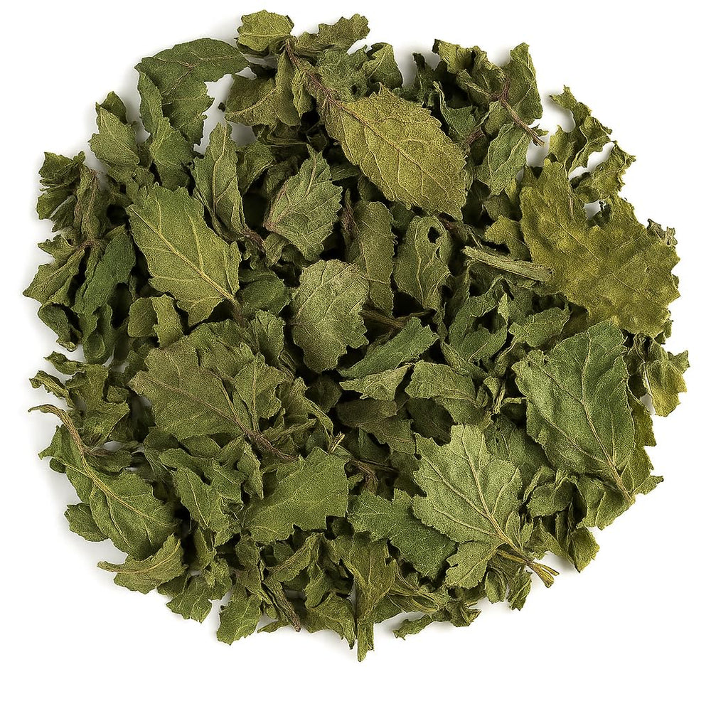Organic Bio Herbs nettle leaves close-up showing natural texture and quality.