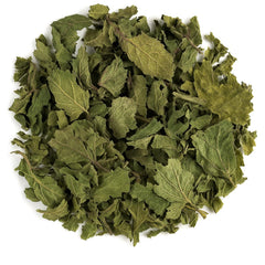 Organic Bio Herbs nettle leaves close-up showing natural texture and quality.